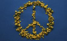 Frieden          
          <div class=